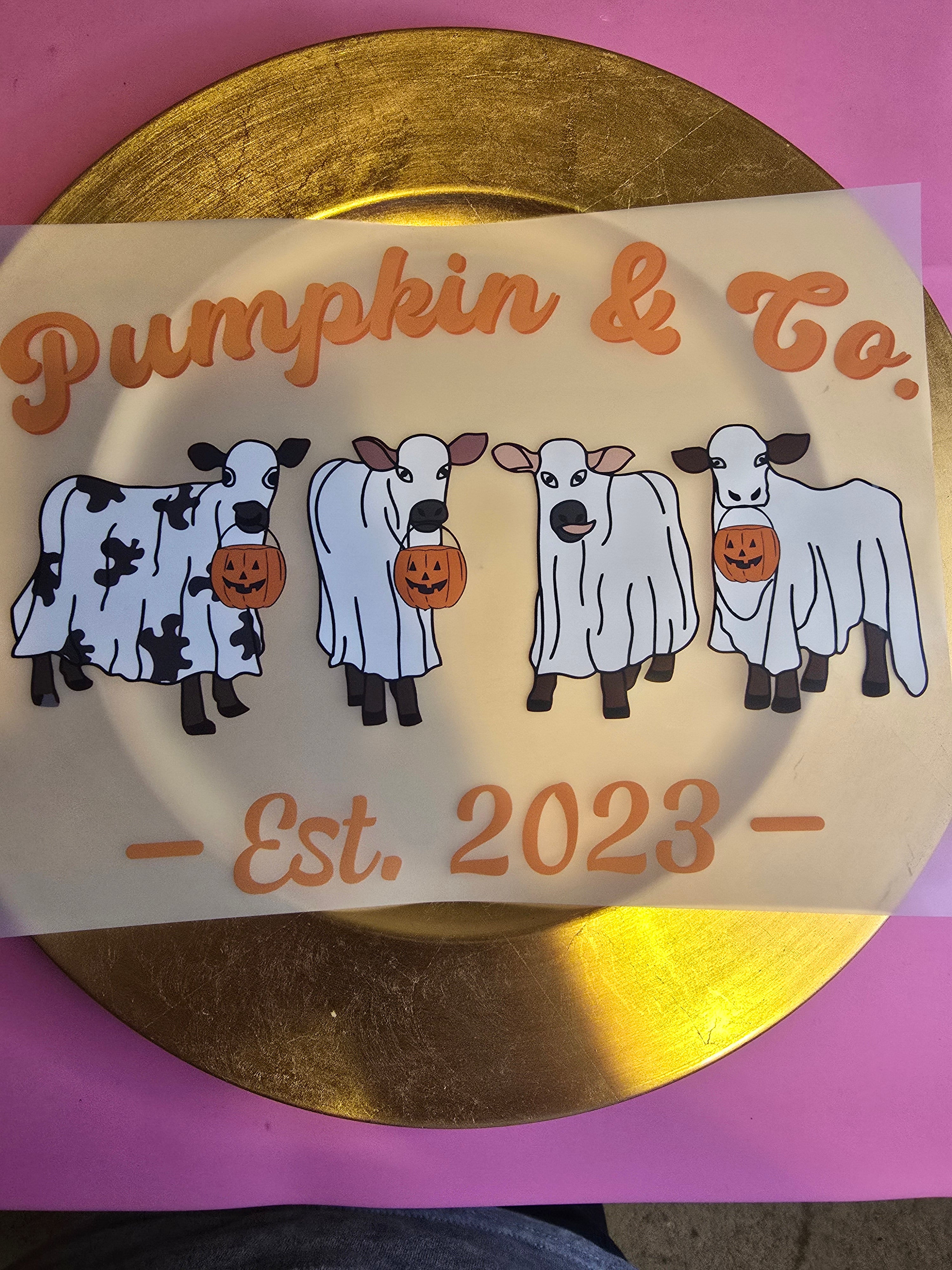 Cows Pumpkin and Co